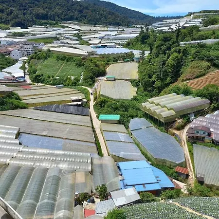 Nature Stay Cameron Highlands Exterior photo